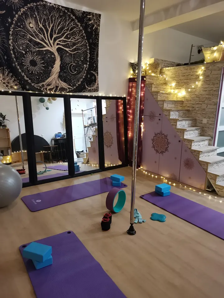 North Pole Dance — pole fitness-studio à Gambetta, Nîmes — 3