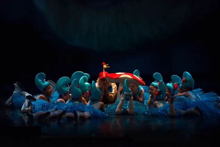Arte & Danza — baile-studio en Las Palmas de Gran Canaria — 5