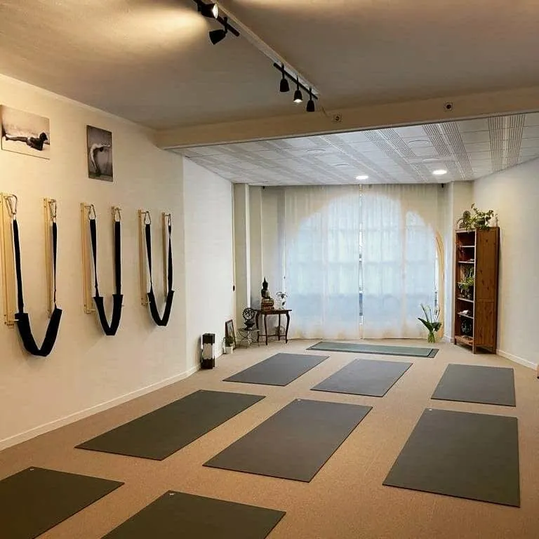 Centro de Yoga Ashtanga — yoga-studio i Oviedo — bild 4