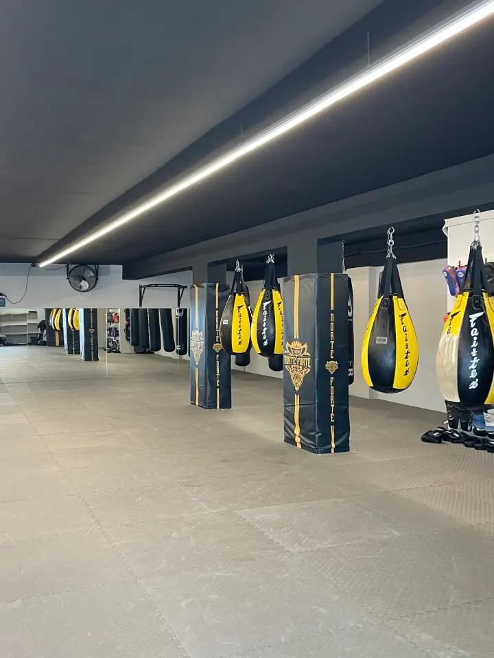 Norte Forte Fight — artes marciais-studio em Massarelos, Porto — 2