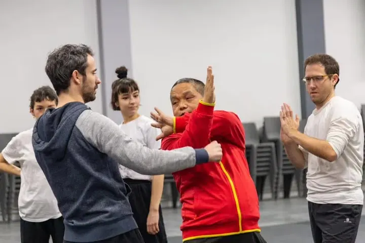 Ecole Shi Miaofeng — arts martiaux-studio à Toulouse — 4