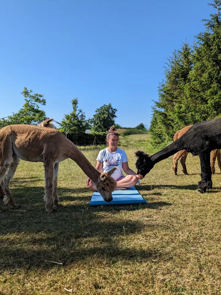 Yoga yay v/Maja Kielberg — yoga-studio i Lille Egebjerg, Vig — 2
