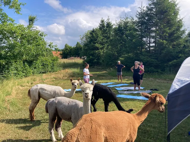 Yoga yay v/Maja Kielberg — yoga-studio i Lille Egebjerg, Vig — 3