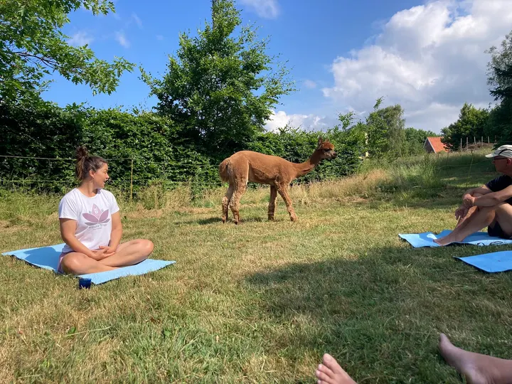 Yoga yay v/Maja Kielberg — yoga-studio i Vig — 3