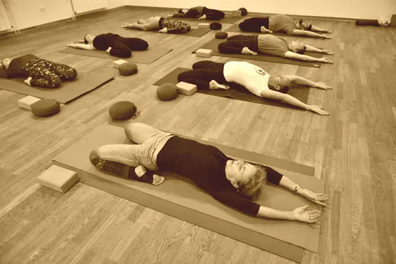 YOGA MOBIL WOLFSBURG Elske Oberholthaus — yoga-studio in Wolfsburg — 3