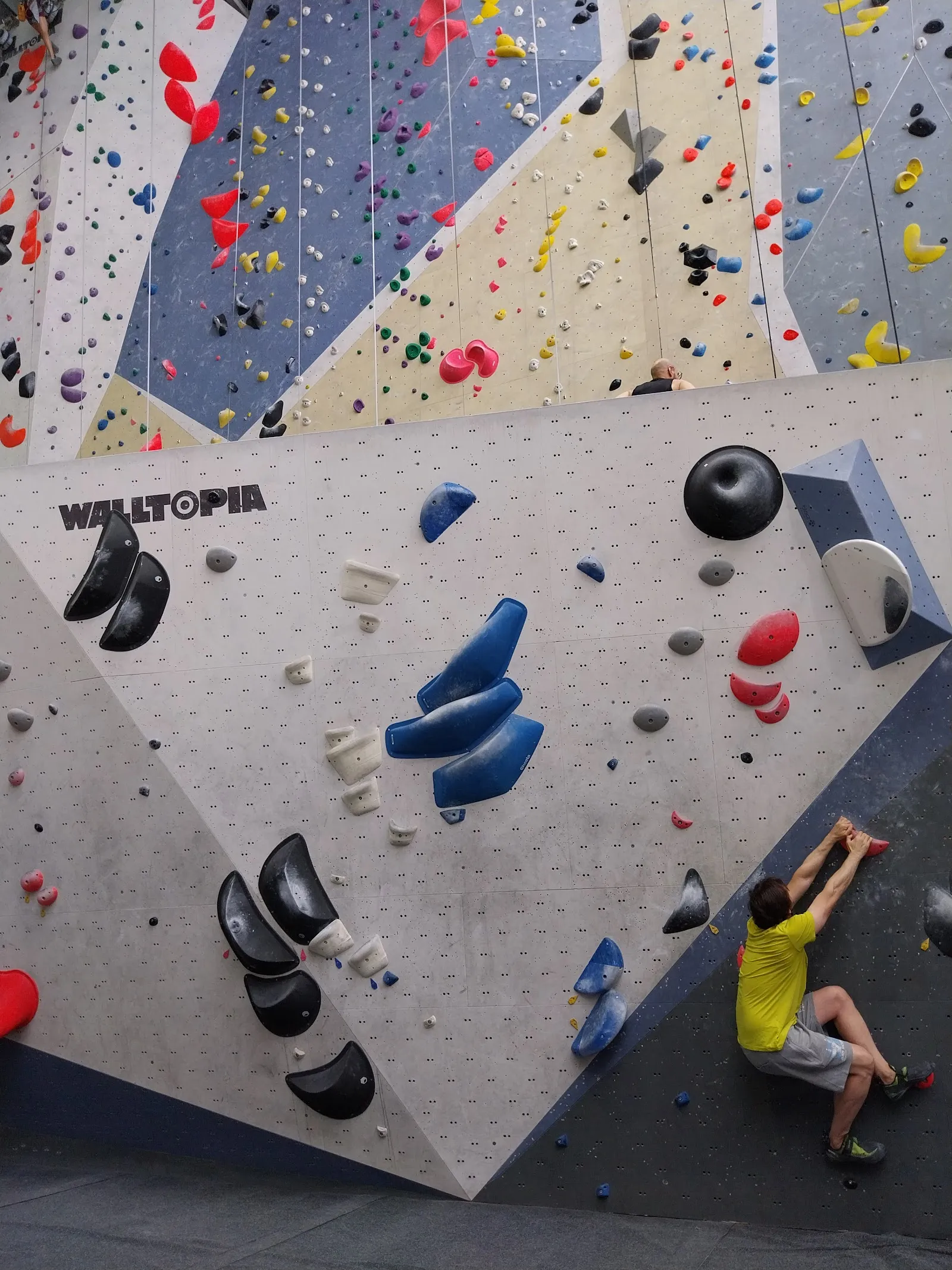 Sharma Climbing Madrid - Rocódromo de escalada en Madrid — escalada-studio en San Blas - Canillejas, Madrid — 2