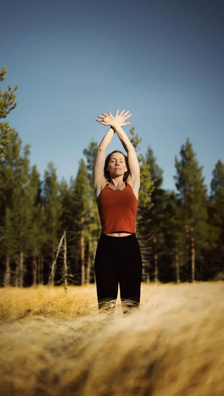 Tridevi Yoga Åre — yoga-studio i Duved — 2