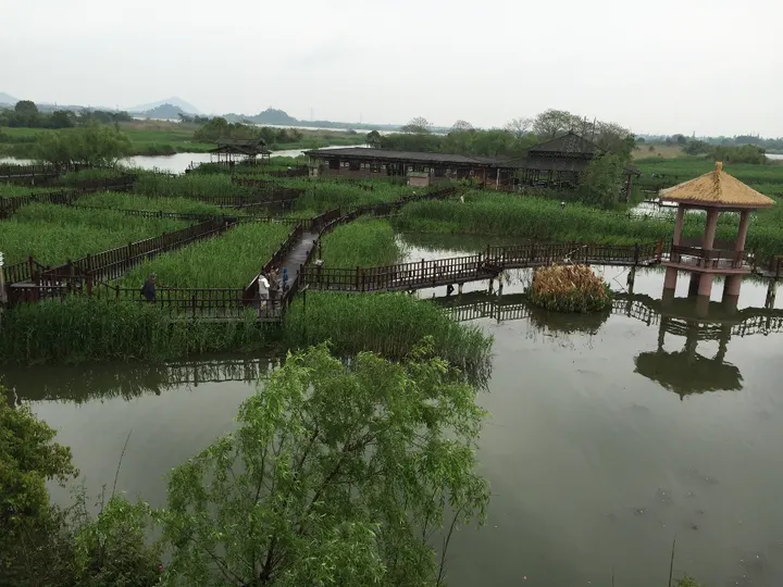 Internationale Neijin QiGong Akademie — kampfsport-studio in Bilk, Düsseldorf — 3