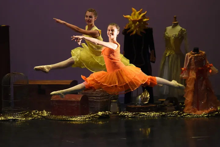 Ecole de danse Marie-Hélène Pelletier — danse-studio au Belvédère, Talant — 2