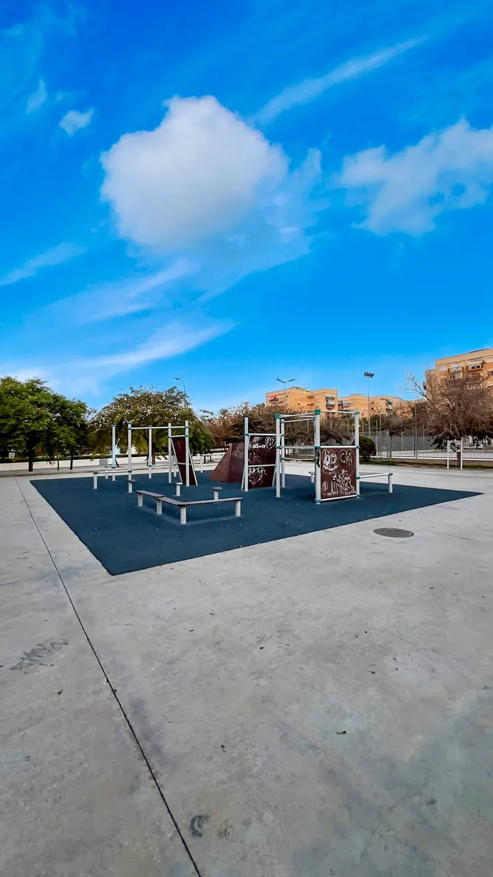 Parque de Calistenia de la Vía Parque — entrenamiento funcional-studio en Alicante — 5