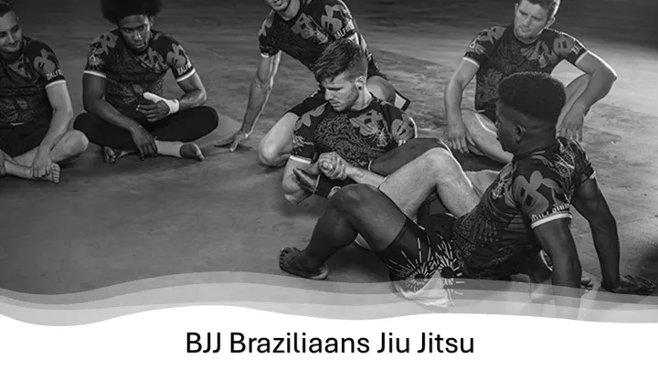 Budo Sport Shizentai — vechtsport-studio in Motketel, Wehl — 3