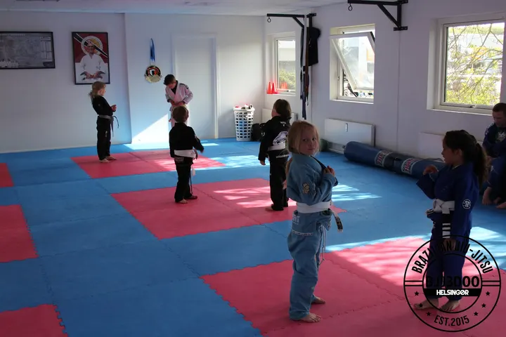 BJJ 3000 Helsingør — kampsport-studio i Helsingør — 2