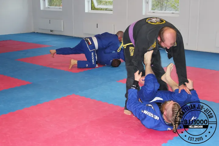 BJJ 3000 Helsingør — kampsport-studio i Helsingør — 5