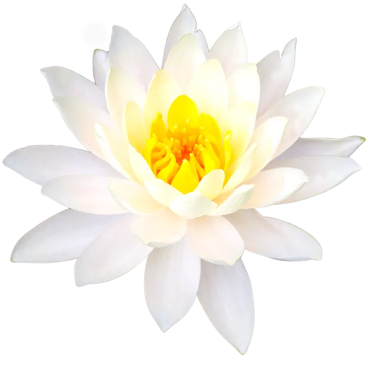 Mindfulness Trieste — Meditazione a Città Vecchia, Trieste