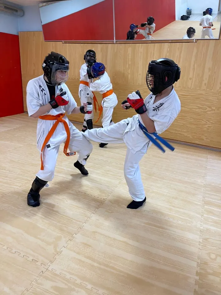 OMID DOJO — mma-studio in Frankfurt am Main — 3