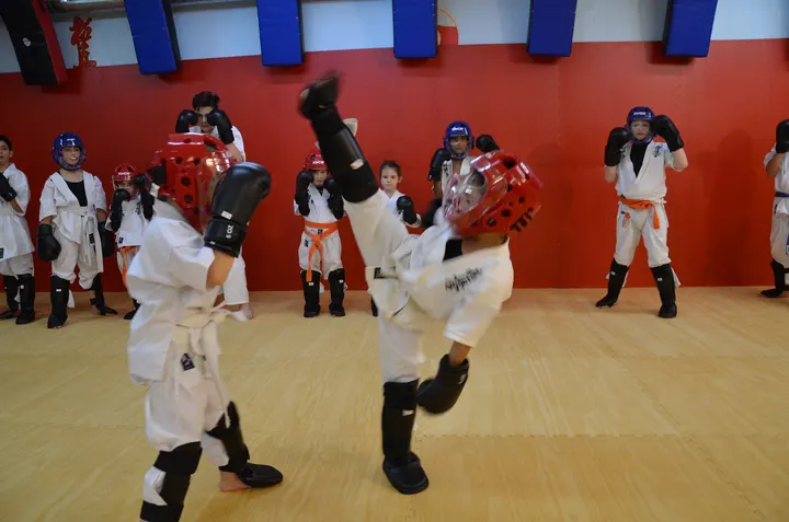 OMID DOJO — Kickboxen in Höchst, Frankfurt am Main