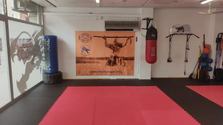 Dojos Doragon Eixample — artes marciales-studio en Eixample, Girona — 2