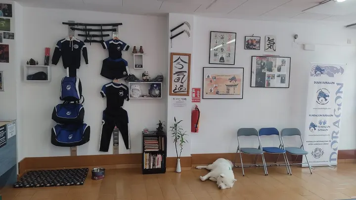 Dojos Doragon Eixample — artes marciales-studio en Girona — 3