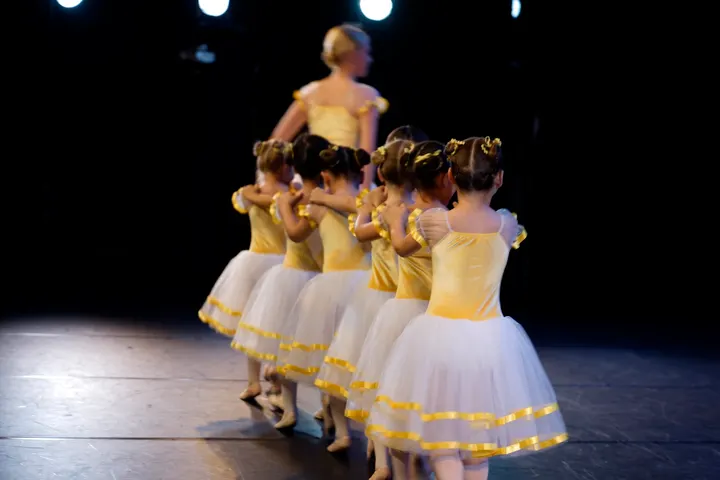 Ecole de Ballet Petits Pas — danse-studio à Sèvres, Paris — 2