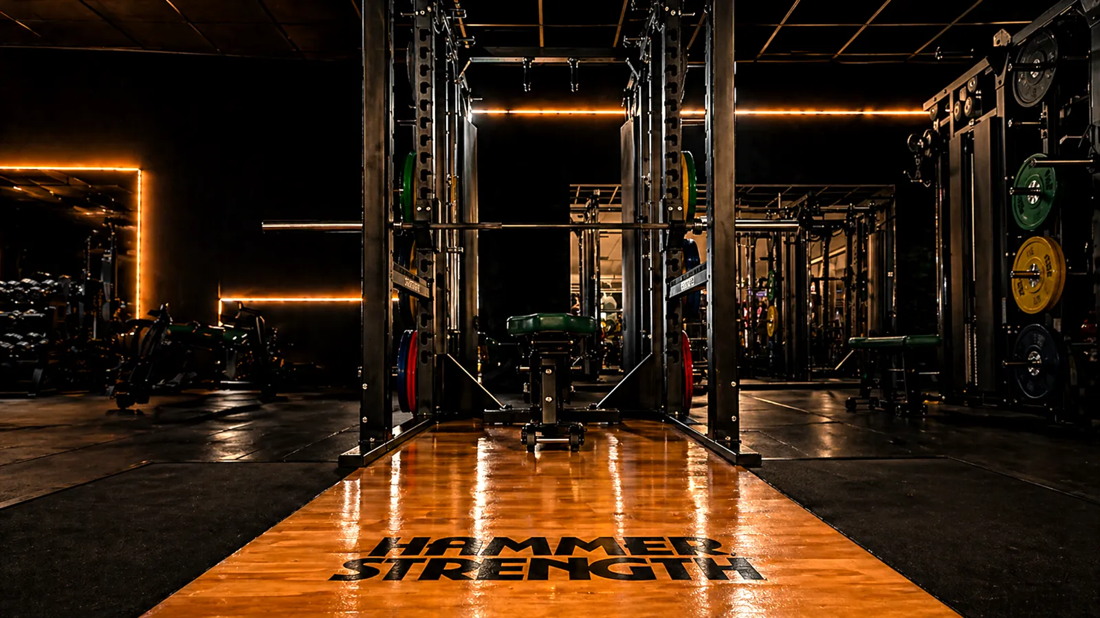 Health-Athletics Sports — styrketräning-studio i Mannheim — 5