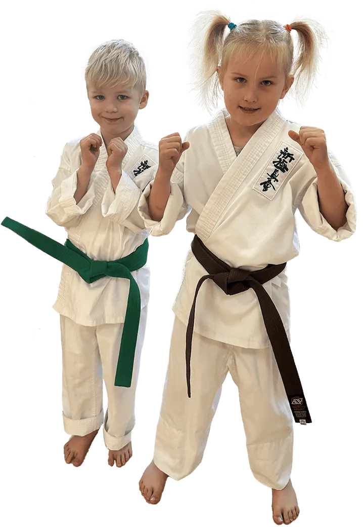 Roskilde Karate Klub — kampsport-studio i Roskilde — 4