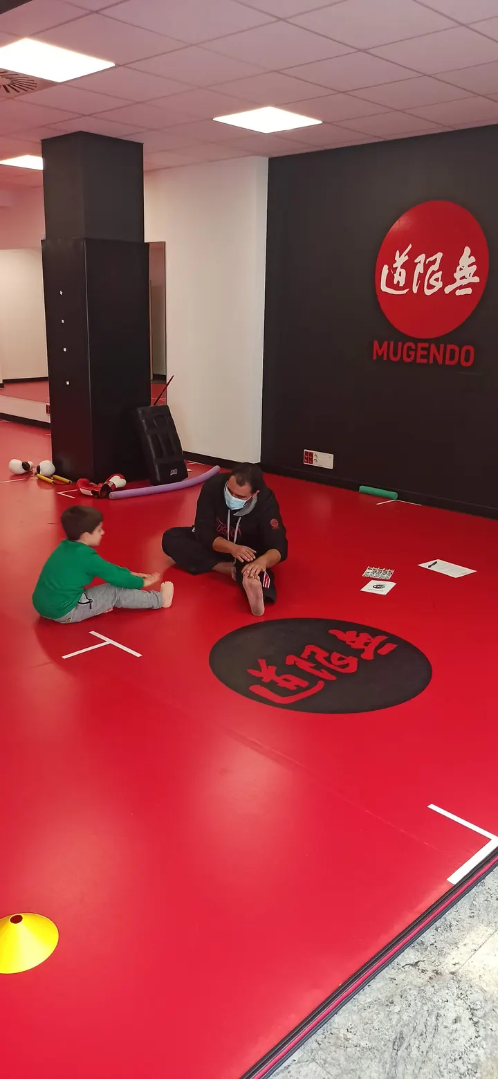 Gimnasio Artes Marciales - Mugendo Gasteiz — Artes marciales en Coronación, Vitoria-Gasteiz