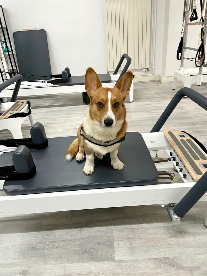 Studio15 Pilates — pilates-studio à Paris 15e Arrondissement, Paris — 2