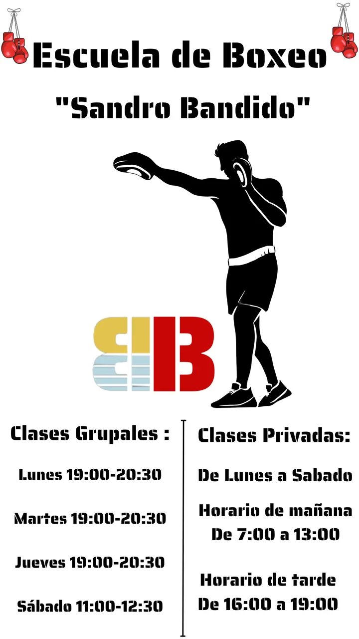 Boxeo Sandro Bandido (Las palmas de Gran canaria) — artes marciales-studio en Las Palmas de Gran Canaria — 5