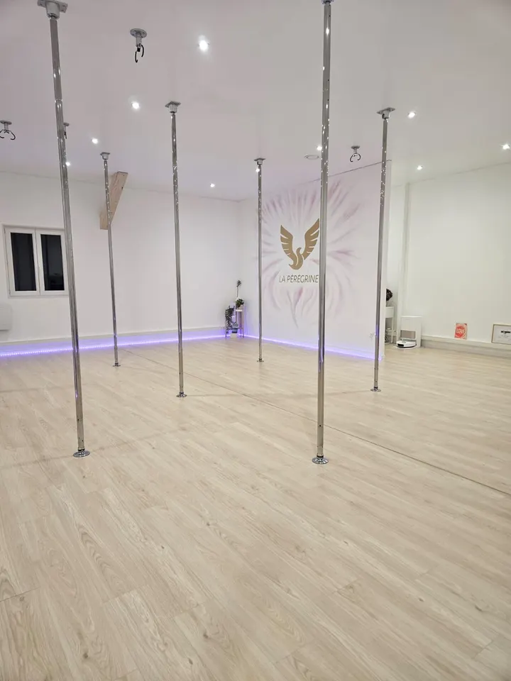 Studio La Pérégrine — pole fitness-studio à Sillingy — 3