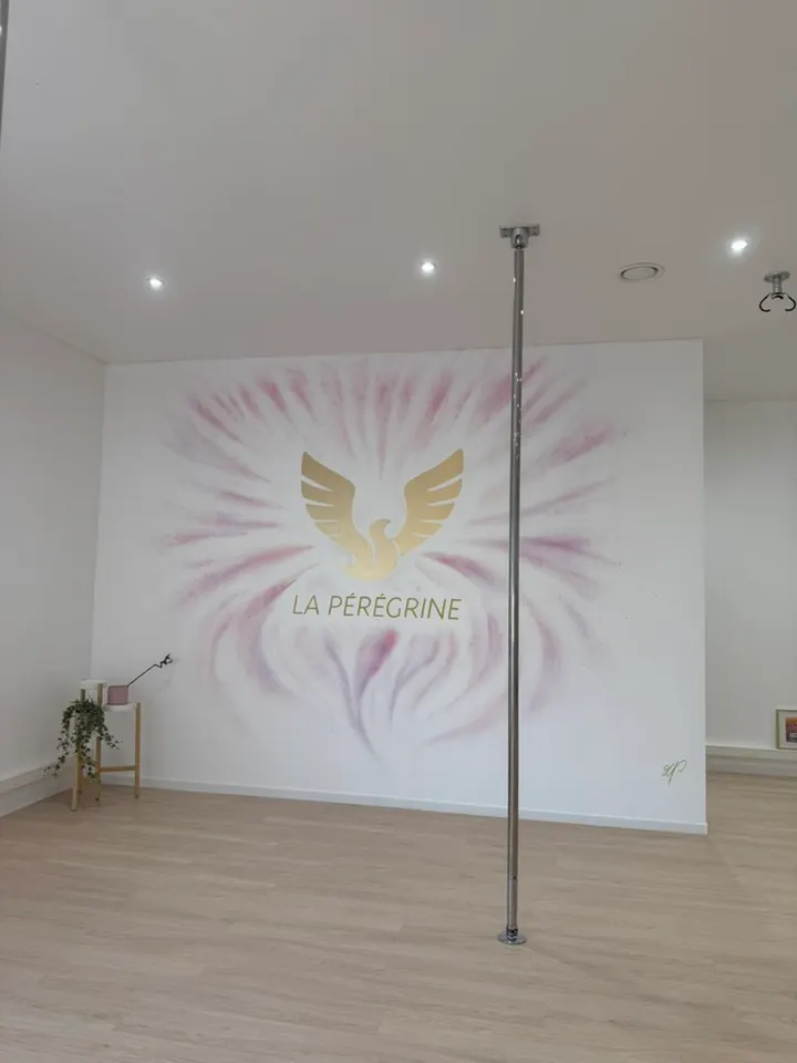 Studio La Pérégrine — pole fitness-studio à Sillingy — 4