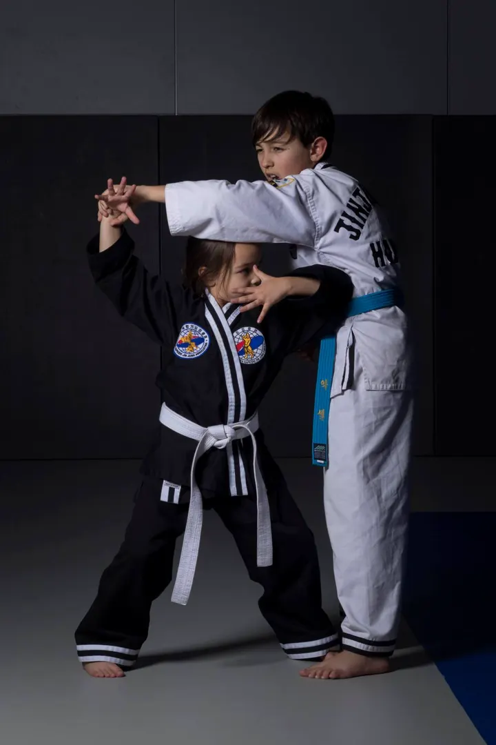 Hapkido Jinjungkwan — arts martiaux-studio à 8e Arrondissement, Marseille — 2