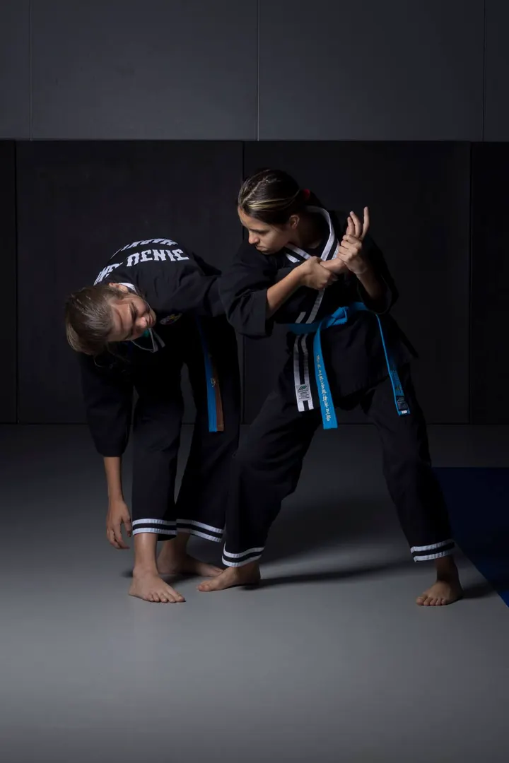 Hapkido Jinjungkwan — arts martiaux-studio à 8e Arrondissement, Marseille — 3