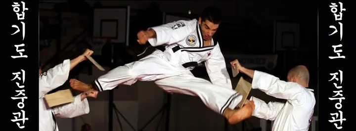 Hapkido Jinjungkwan — Arts martiaux à 8e Arrondissement, Marseille