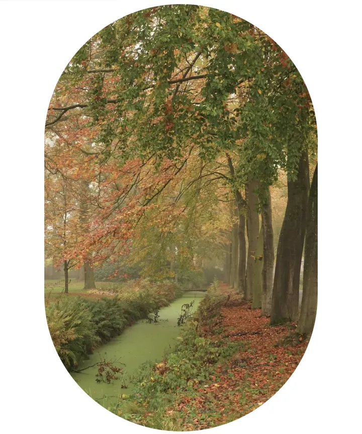 Yin Dharma — yoga-studio in Emmen — 3