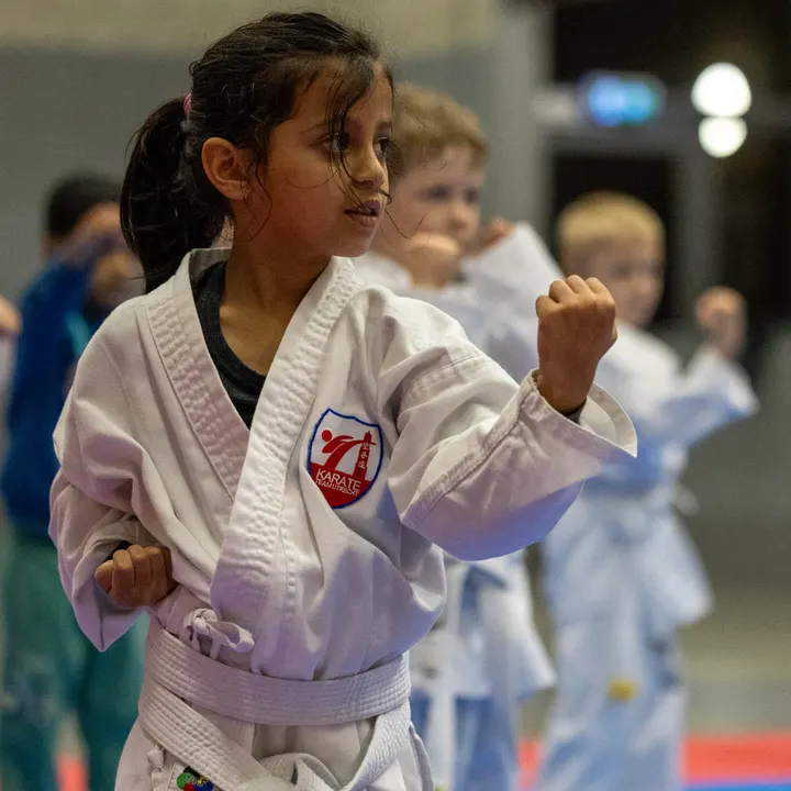 Karate Team Utrecht Vleuten — Vechtsport in Vleuten - De Meern, Utrecht