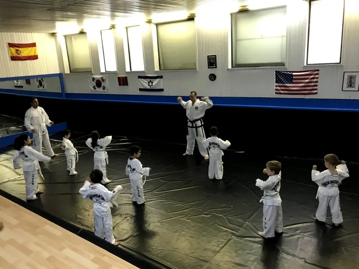 Pozuelo Taekwondo — Artes marciales en Distrito Municipal I (sin urbanizaciones), Pozuelo de Alarcón