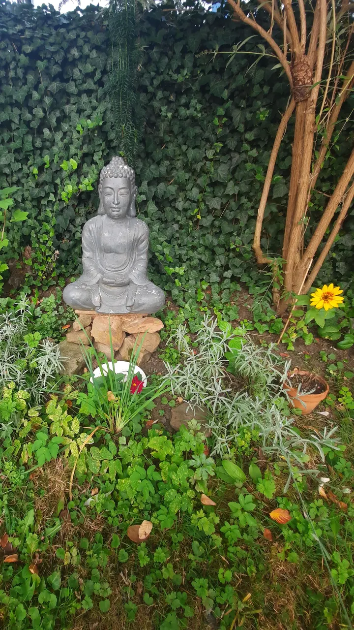 Marburg Shambhala Meditationszentrum — Meditation in Weidenhausen, Marburg