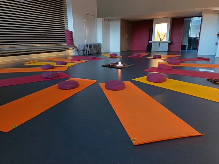 Petite pousse Hatha Yoga Saône et Soi — yoga-studio à Terreaux, Lyon — 3