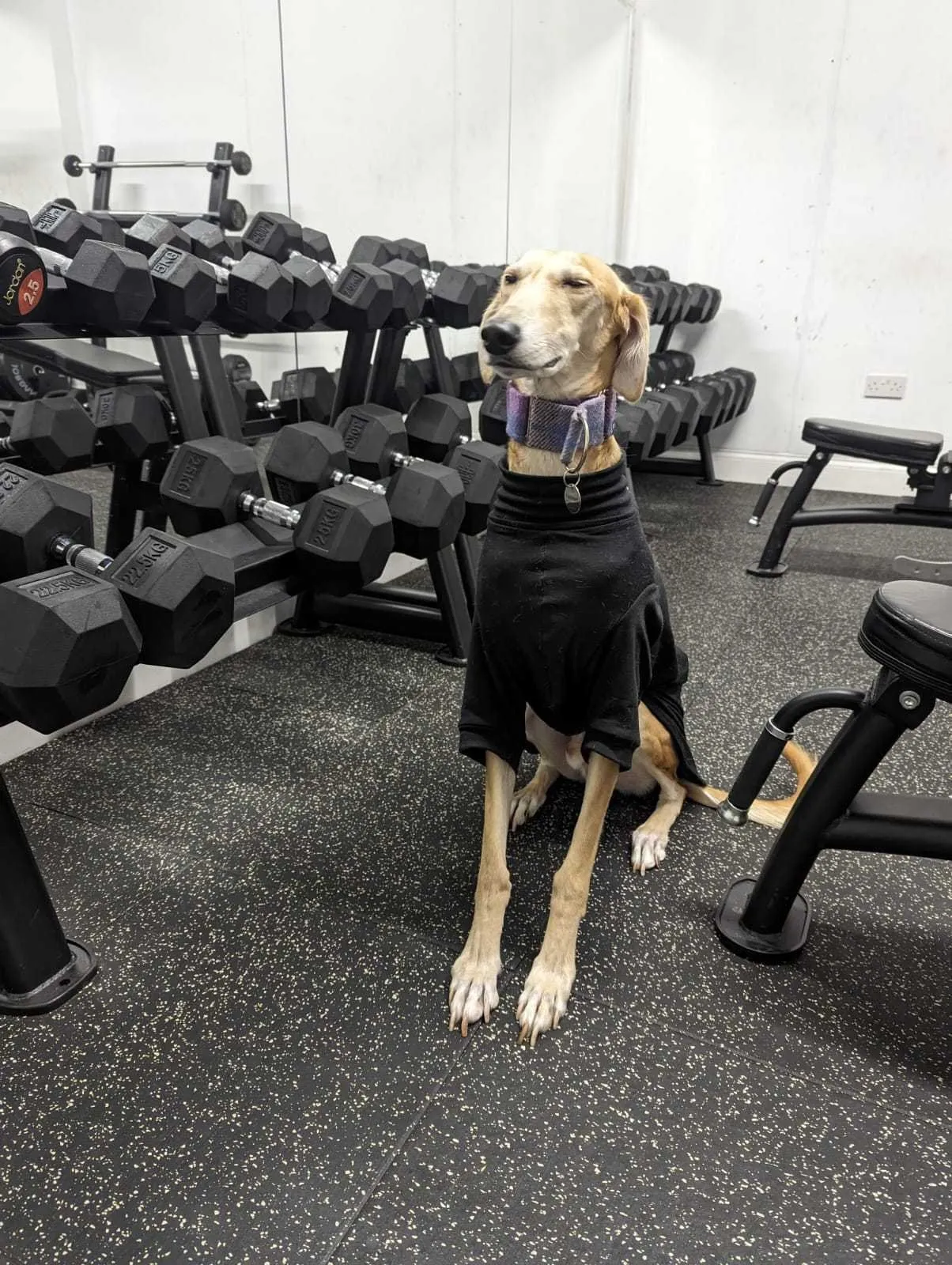 Mountain High Fitness — yoga-studio in Leicester — 4