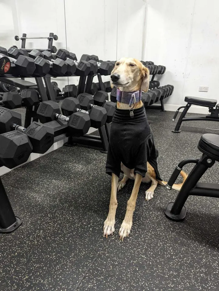 Mountain High Fitness — bootcamp-studio in Leicester — 4