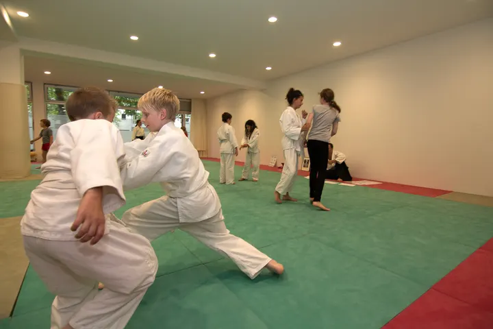 Aikido Verein Freiburg — kampfsport-studio in Freiburg im Breisgau — 3