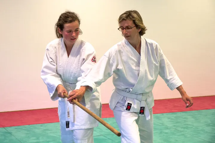 Aikido Verein Freiburg — Kampfsport in Alt-Betzenhausen, Freiburg im Breisgau