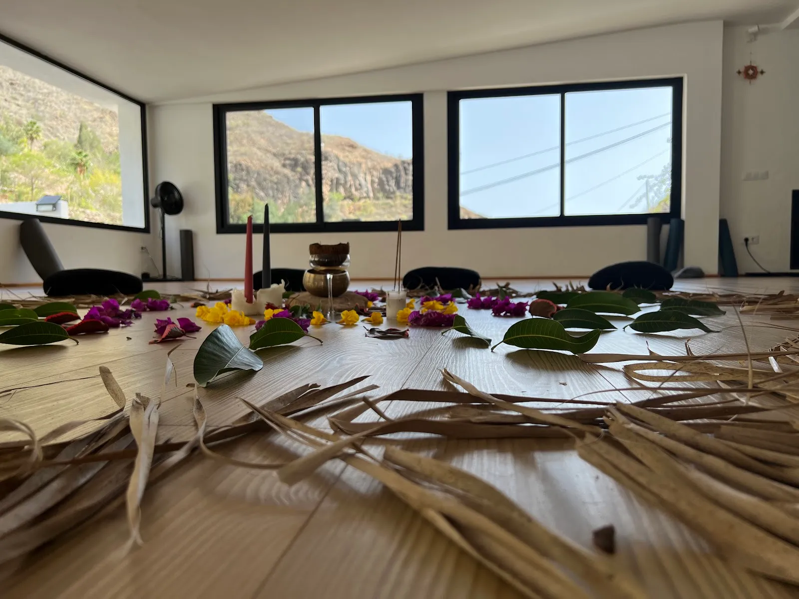 Casa Agama — yoga-studio en Montaña la Data — 5