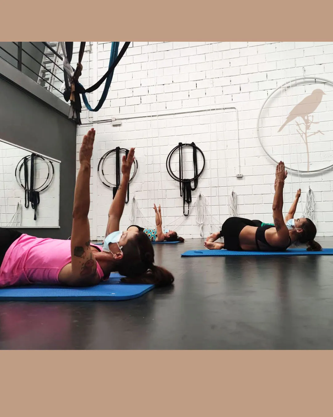 Mirlo Danza Aérea y Deporte — baile-studio en Las Chafiras — 2