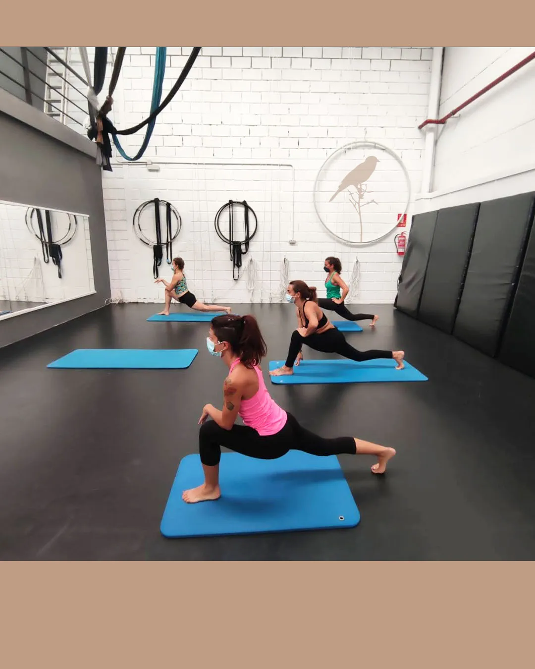 Mirlo Danza Aérea y Deporte — baile-studio en Las Chafiras — 4
