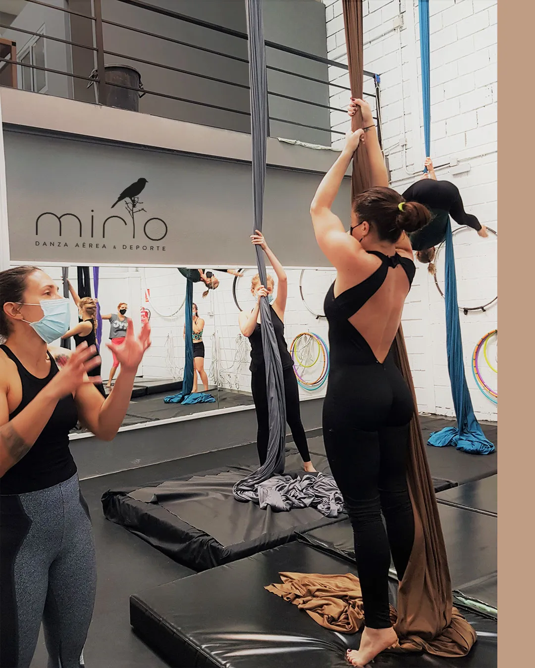 Mirlo Danza Aérea y Deporte — baile-studio en Las Chafiras — 5