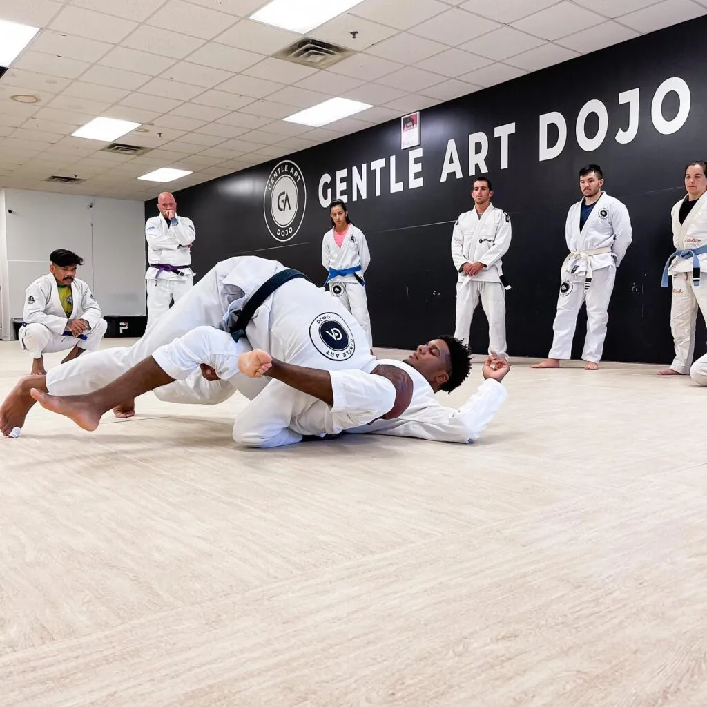 Nebari Jiu Jitsu — artes marciales-studio en Castelldefels — 3