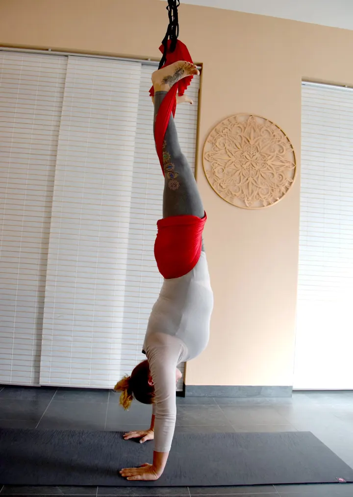 WUKRASO | aerial yogastudio claudia probst — yoga-studio in Dresden — 3