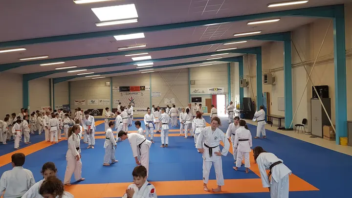 Judo Club — arts martiaux-studio à Amnéville — 3