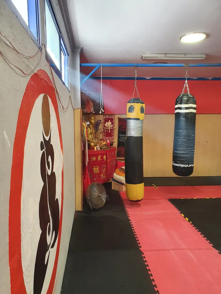 INSTITUTO SHAOLIN CHAN SAN PEDRO — Artes marciales en Salto del Agua, Marbella